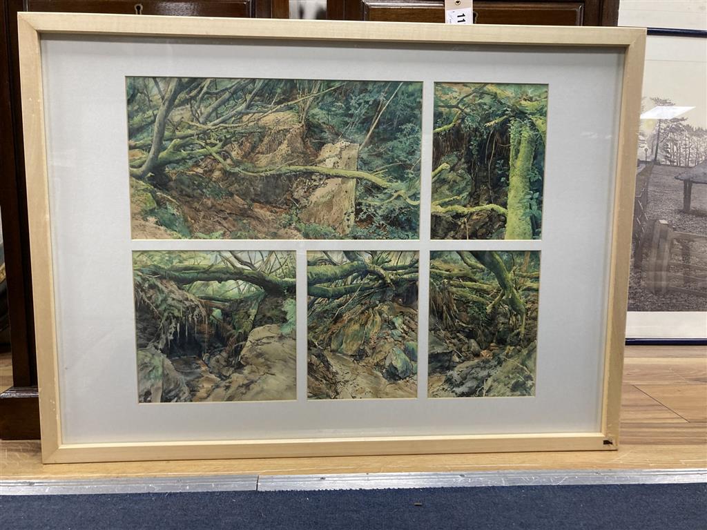 John Wiltshire (1969-), watercolour, 5 studies of the Tank Bridge, Bankside Gallery label verso, overall 40 x 50cm.